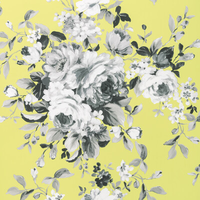 Clarke And Clarke W0081/01.CAC.0 Emeline Wallcovering Fabric in Citron