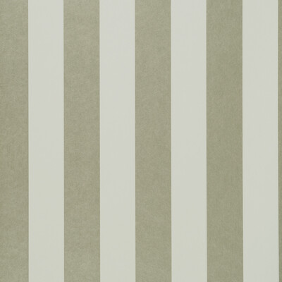 Clarke And Clarke W0085/06.CAC.0 Nevis Wallcovering Fabric in Nickel