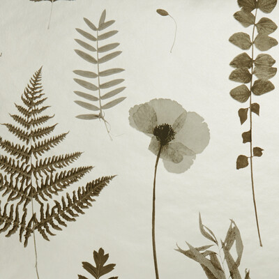 Clarke And Clarke W0091/02.CAC.0 Herbarium Wallcovering Fabric in Charcoal/gold