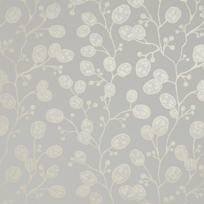 Clarke And Clarke W0092/02.CAC.0 Honesty Wallcovering Fabric in Ivory/gold