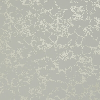 Clarke And Clarke W0096/05.CAC.0 Pietra Wallcovering Fabric in Ivory/gold