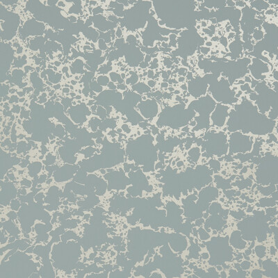 Clarke And Clarke W0096/06.CAC.0 Pietra Wallcovering Fabric in Mineral/gold