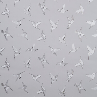 Clarke And Clarke W0109/03.CAC.0 Hummingbird wp Wallcovering Fabric in Grey/silver