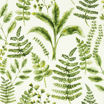 Clarke And Clarke W0156/02.CAC.0 Bracken Wallcovering in Forest Wp/Green