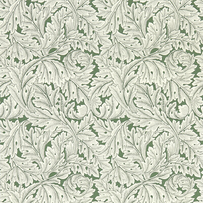 Clarke And Clarke W0175/01.CAC.0 Acanthus Wallcovering in Sage Wp/Olive Green/White