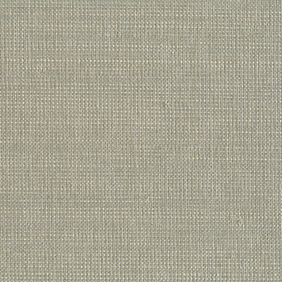 Kravet Design W3424.16.0 Kravet Design Wallcovering Fabric in Silver , Beige , W3424-16
