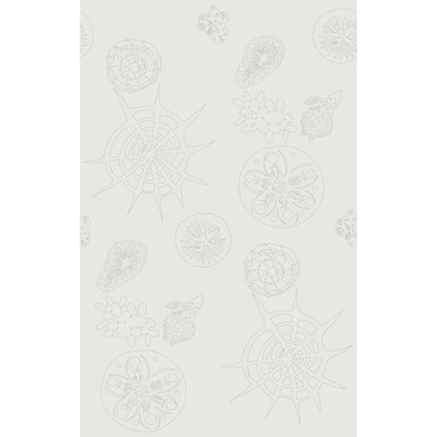 Kravet Couture W3585.1.0 Telescopic P Wallcovering in Ivory/Silver/Metallic