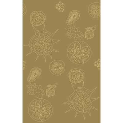 Kravet Couture W3585.616.0 Telescopic P Wallcovering in Wheat/Ivory/Neutral