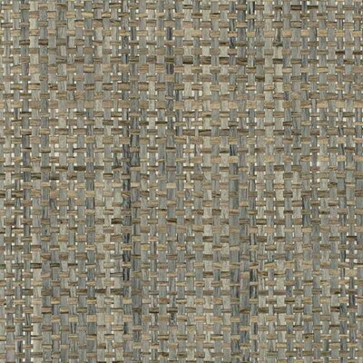 Winfield Thybony WDW2395P.WT.0 Catalina Weave Wallcovering in Agave