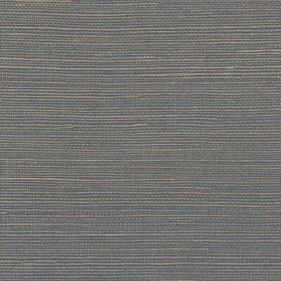 Winfield Thybony WDW2403P.WT.0 Distinctive Sisals Wallcovering in Silver Blue