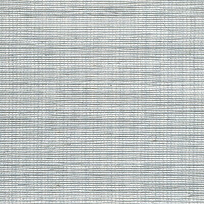 Winfield Thybony WDW2405P.WT.0 Distinctive Sisals Wallcovering in Sterling Silverp