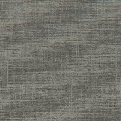 Winfield Thybony WHF1620.WT.0 Patagonia Wallcovering in Bark