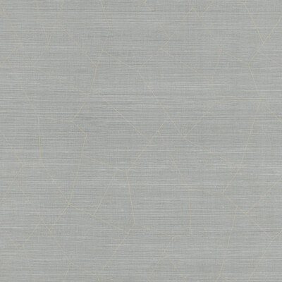 Winfield Thybony WHF1743.WT.0 Vivace Wallcovering in Bay/Silver/Light Grey