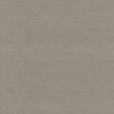 Winfield Thybony WHF1747P.WT.0 Vivace Wallcovering in Smokep/Grey/Taupe