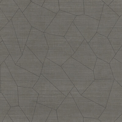 Winfield Thybony WHF1748.WT.0 Vivace Wallcovering in Graphite/Grey/Charcoal