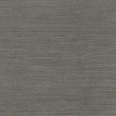 Winfield Thybony WHF1758.WT.0 Vivace Thread Wallcovering in Graphite/Grey/Charcoal