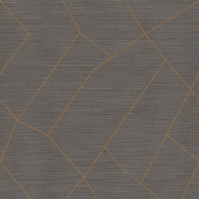 Winfield Thybony WHF1760.WT.0 Vivace Grand Wallcovering in Graphite/Grey/Charcoal