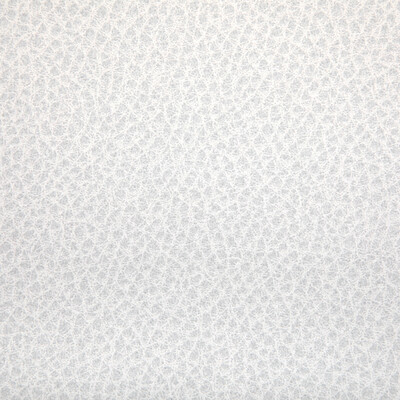 Kravet Contract WOOLF.101.0 Woolf Upholstery Fabric in Fossil/White/Grey
