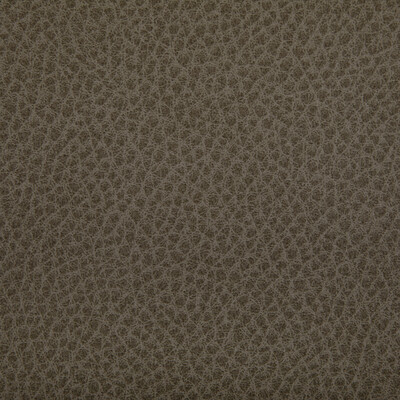 Kravet Contract WOOLF.106.0 Woolf Upholstery Fabric in Etruscan/Taupe/Grey/Beige