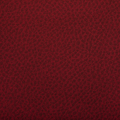 Kravet Contract WOOLF.19.0 Woolf Upholstery Fabric in Fiesta/Red/Charcoal