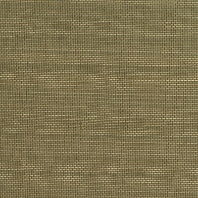 Winfield Thybony WOS3427P.WT.0 Asian Essence Wallcovering in Wos3427