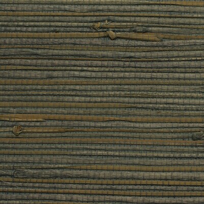 Winfield Thybony WOS3467P.WT.0 Asian Essence Wallcovering in Wos3456