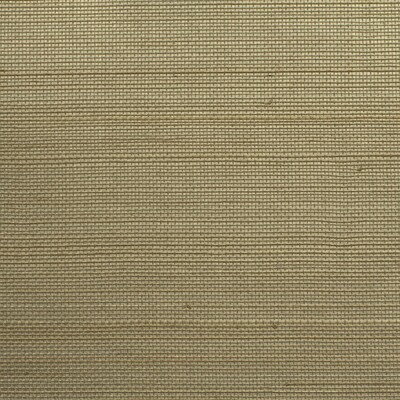 Winfield Thybony WOS3484P.WT.0 Winfield Thybony Wallcovering in Wos3484-wtp