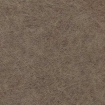Winfield Thybony WPW1120.WT.0 Enduring Wallcovering in Bronco