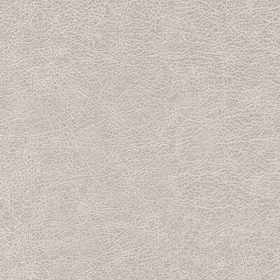 Winfield Thybony WPW1125.WT.0 Enduring Wallcovering in Grain