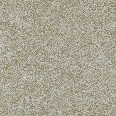 Winfield Thybony WPW1131.WT.0 Enduring Wallcovering in Croc
