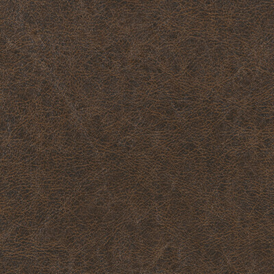 Winfield Thybony WPW1133.WT.0 Enduring Wallcovering in Chestnut