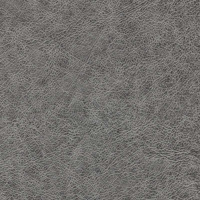 Winfield Thybony WPW1134.WT.0 Enduring Wallcovering in Charcoal