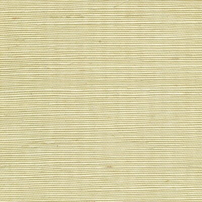 Winfield Thybony WSS4525.WT.0 Sisal Wallcovering in Limeaid