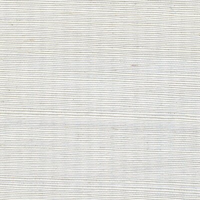 Winfield Thybony WSS4582.WT.0 Metallic Sisal Wallcovering in Icicle