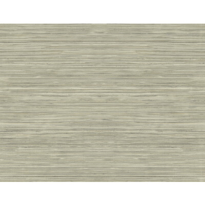 Winfield Thybony WTK15316.WT.0 Grasscloth Texture Wallcovering in Taupe/Grey