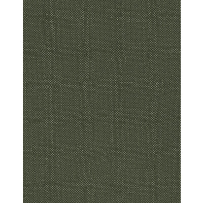 Winfield Thybony WTN1053.WT.0 Opulence Wallcovering in Forest/Green