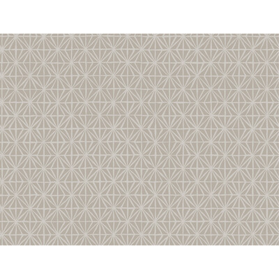 Winfield Thybony WTP4049.WT.0 Segue Wallcovering in Putty