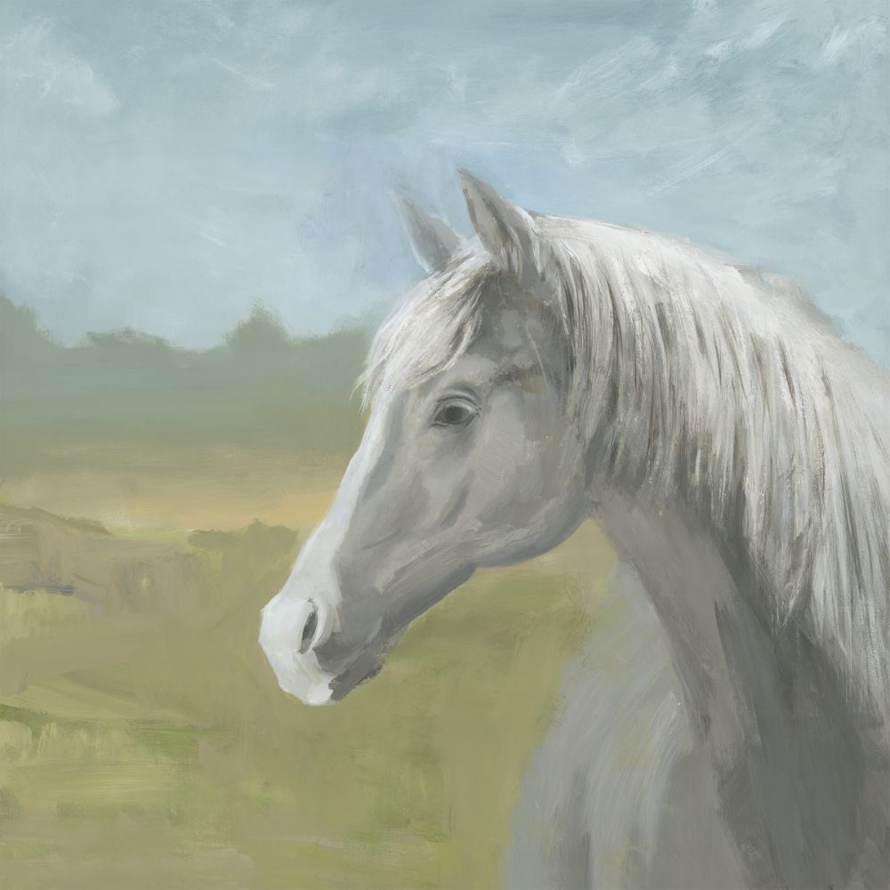 Aylan Home 52GCRA0161-EP-C 36 x 36 Horse with a Landscape Gallery-wrapped giclee print on canvas 