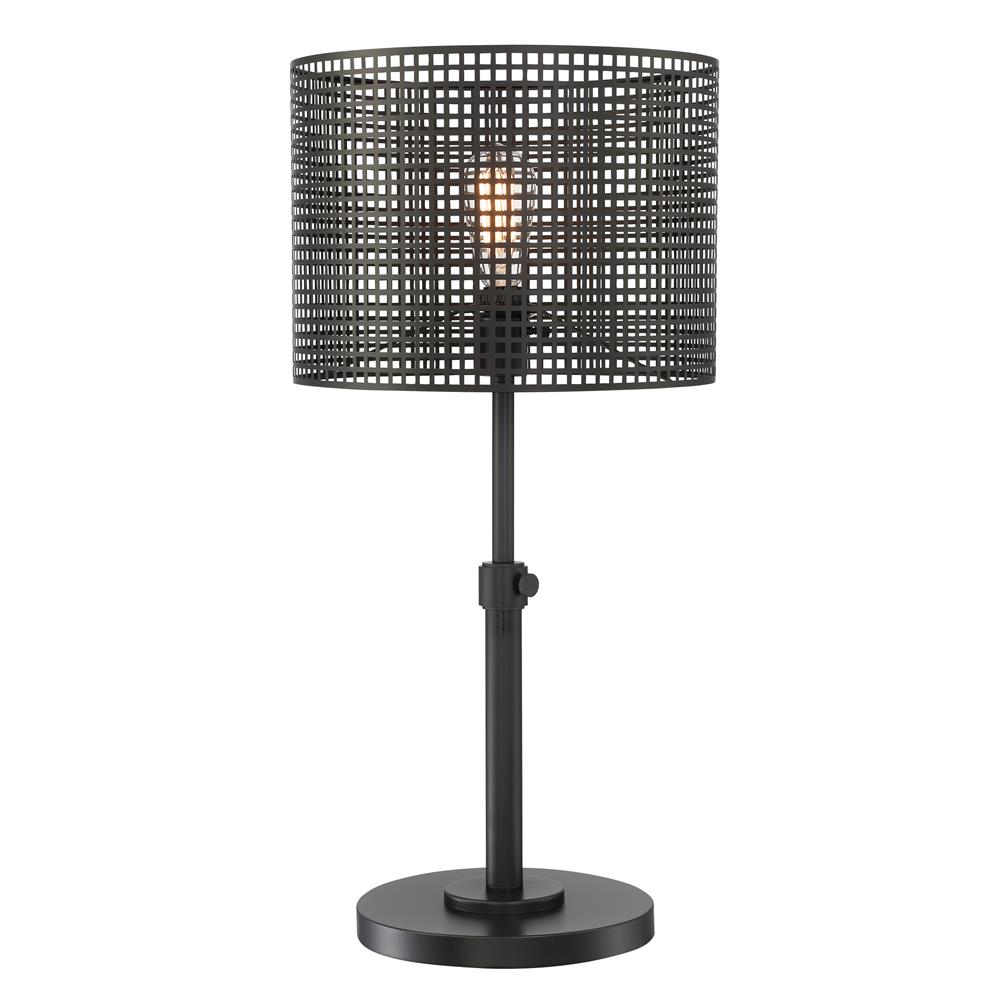 Lite Source LS-23017 Hamilton Table Lamp, Black/Mesh Metal Shade, E27 Vintage Bulb 60W