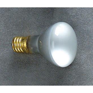Lite Source LU-25R Incandescent Bulb, Type R, E17/25w  Ls-117