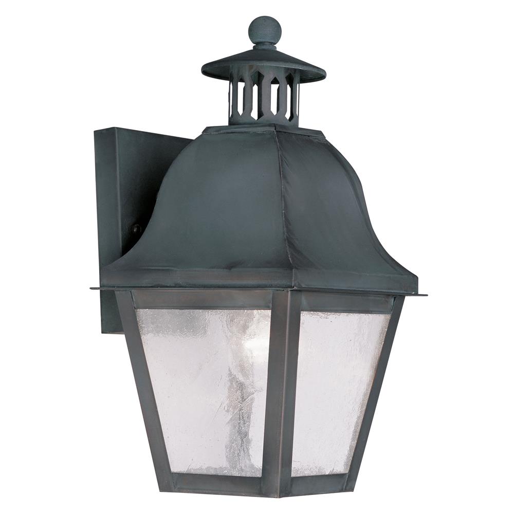 Livex Lighting 2550 Amwell Medium Outdoor Wall Sconce with 1 Light in Charcoal