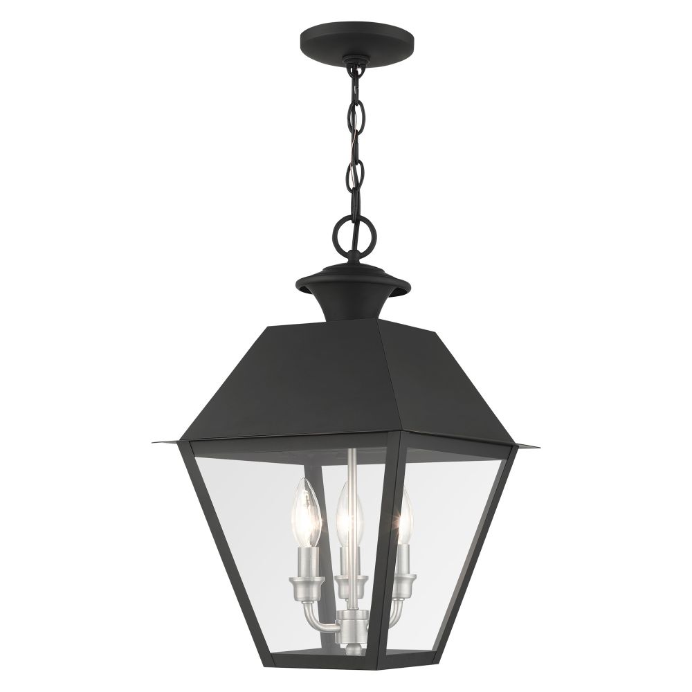 Livex Lighting 27220-04 Outdoor Pendant Lantern in Black