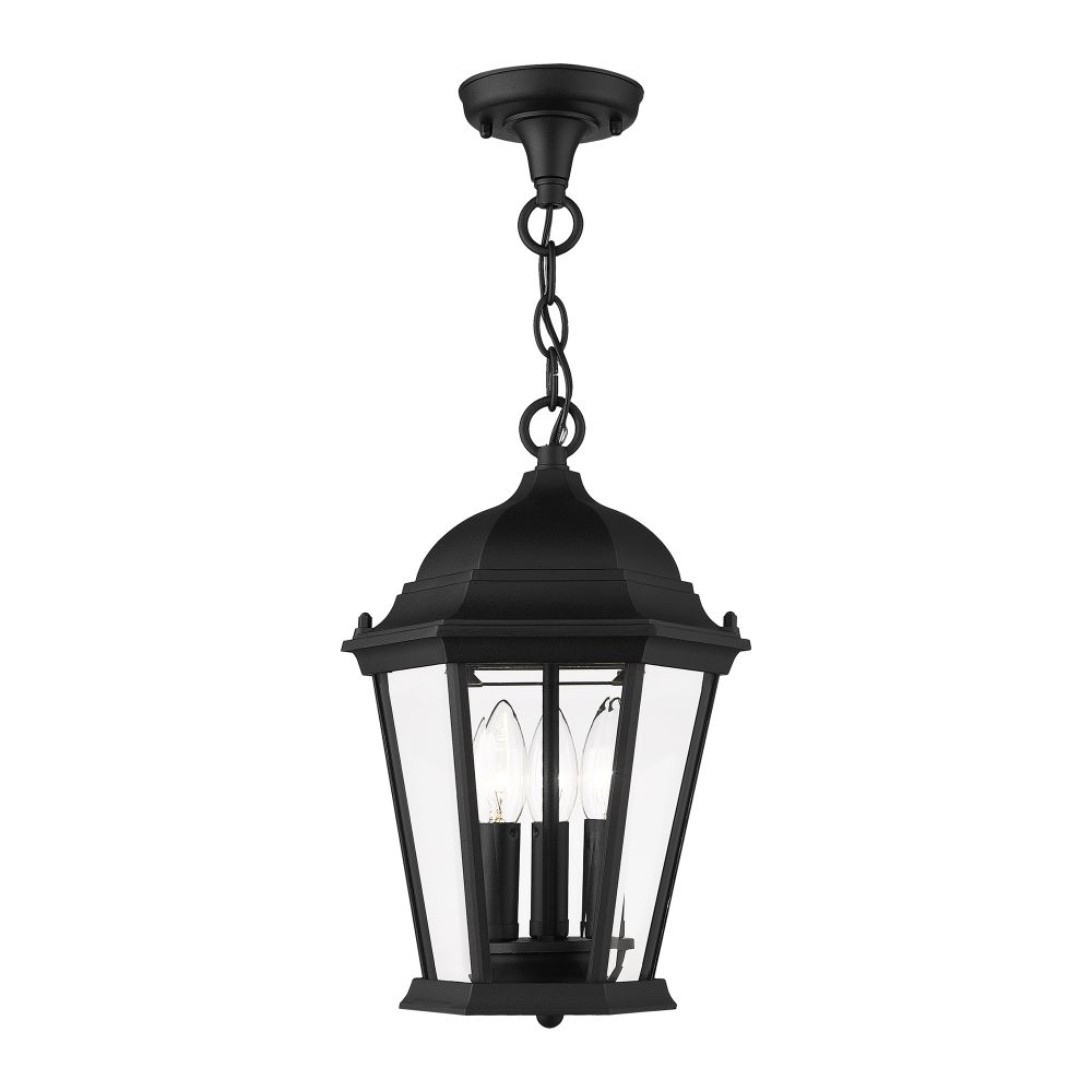 Livex Lighting 7564-14 Outdoor Pendant Lantern in Textured Black