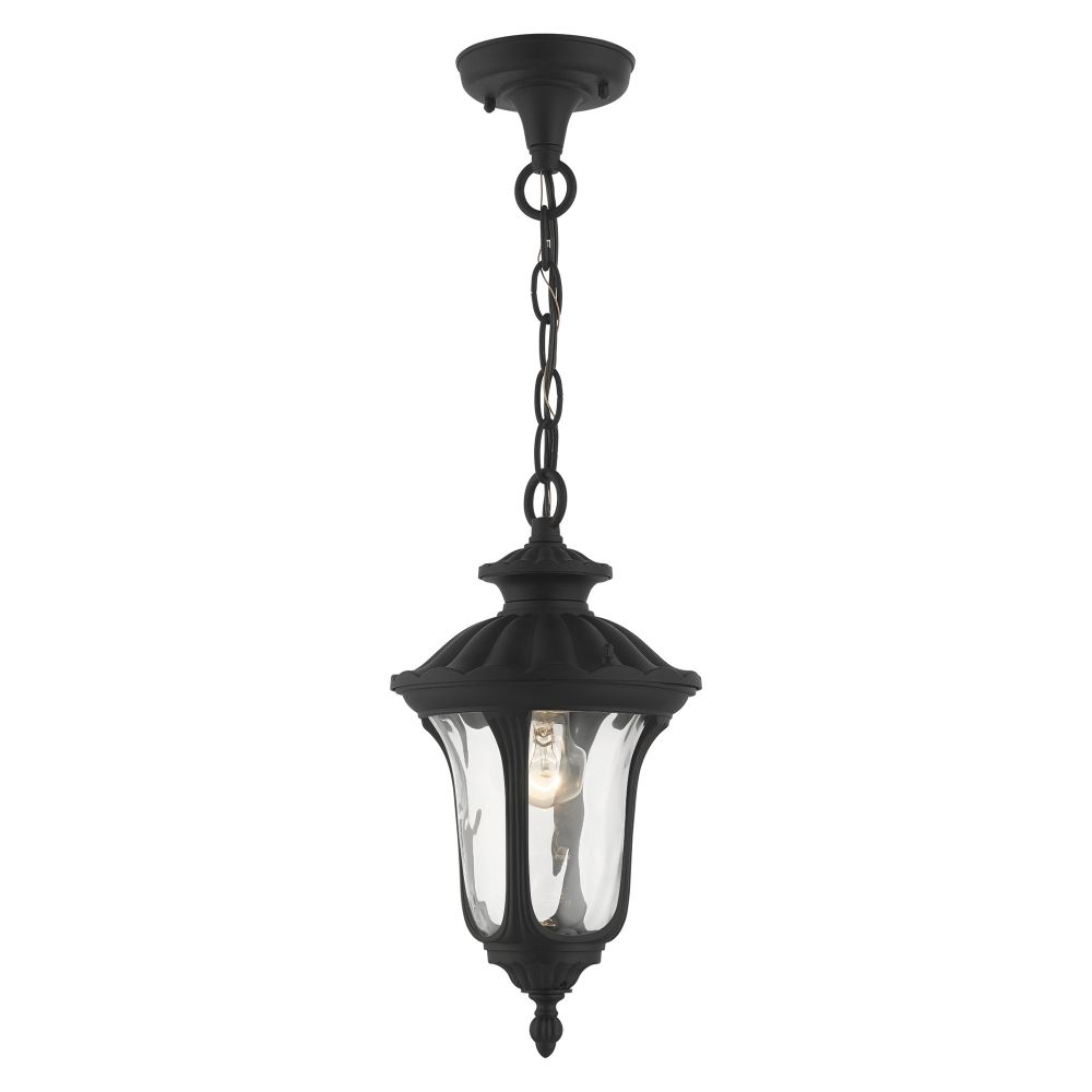 Livex Lighting 7849-14 Outdoor Pendant Lantern in Textured Black