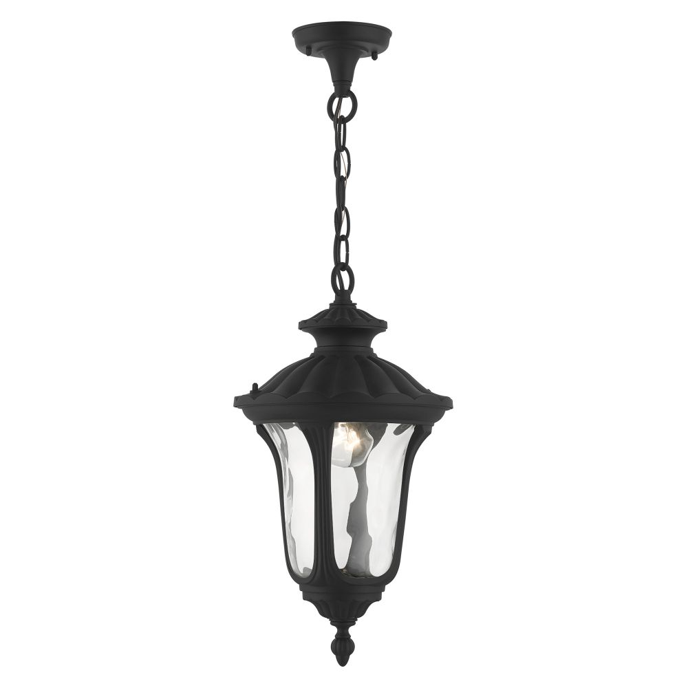 Livex Lighting 7854-14 Outdoor Pendant Lantern in Textured Black