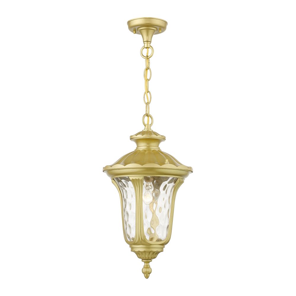 Livex Lighting 7854-33 1 Light Soft Gold Outdoor Medium Pendant Lantern