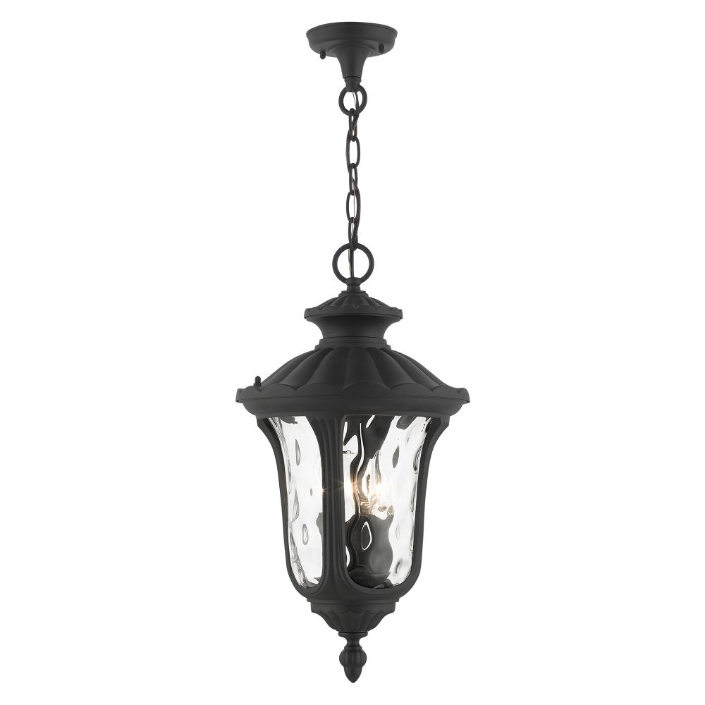 Livex Lighting 7858-14 Outdoor Pendant Lantern in Textured Black