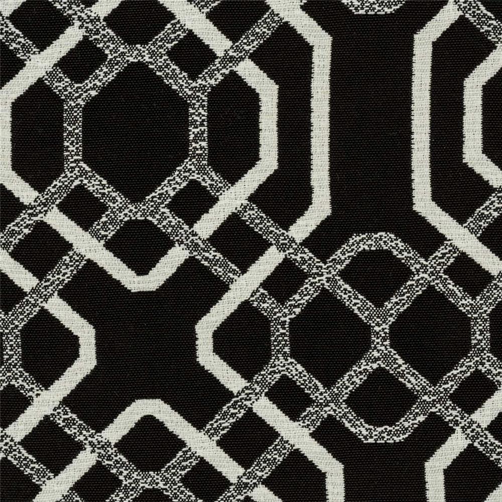 Michael Jon Design J1900 Bayliss Black White by Bella Dura fabric