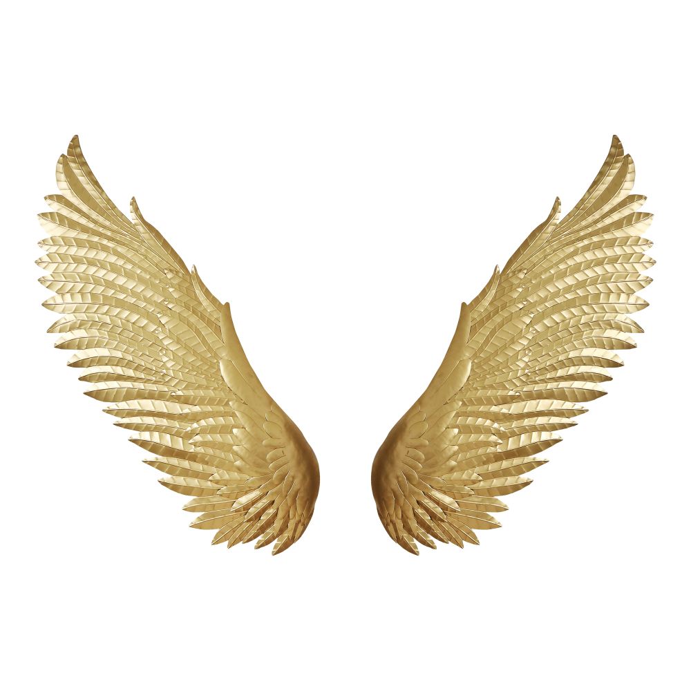 Moes Home Collection HZ-1023-32 Wings Wall Decor in Gold