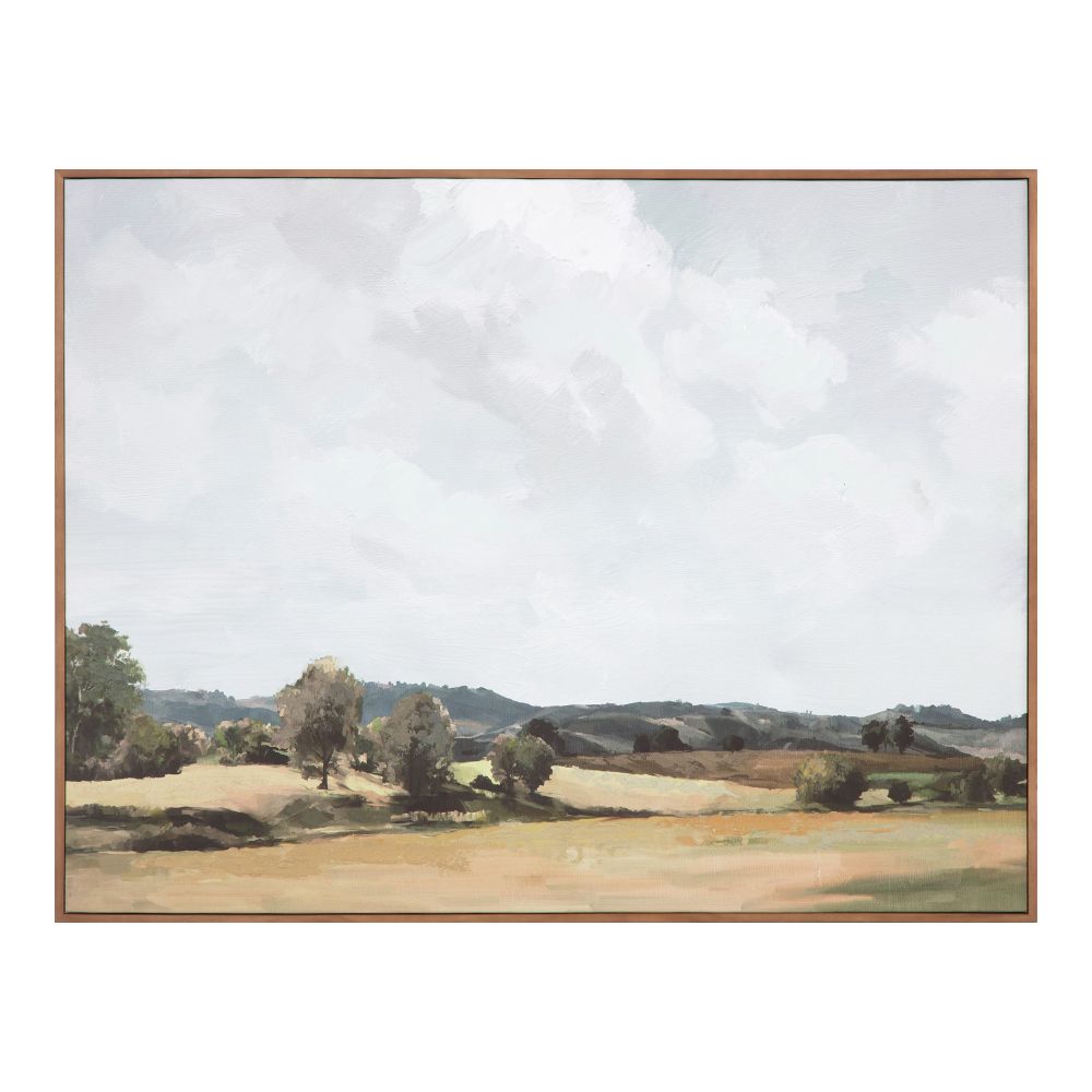 Moes Home Collection WP-1265-37 Vast Country Framed Painting